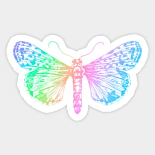 Colourful moth Sticker